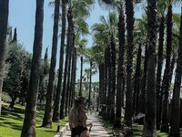 Amiraa Mirah amiraa.mirah