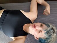 bluejayvip bluejay, bluejayvip