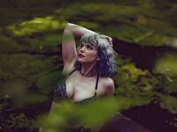 bluejayvip bluejay, bluejayvip