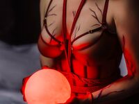 bluejayvip bluejay, bluejayvip