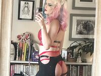 bluejayvip bluejay, bluejayvip