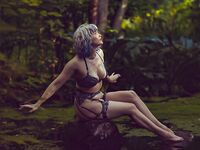 bluejayvip bluejay, bluejayvip