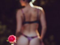 bluejayvip bluejay, bluejayvip