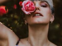 bluejayvip bluejay, bluejayvip