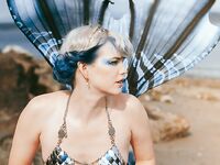 bluejayvip bluejay, bluejayvip