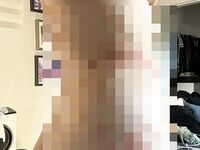 bluejayvip bluejay, bluejayvip