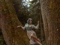 bluejayvip bluejay, bluejayvip