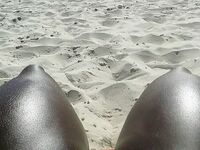 Rainhas De Bateria rainhas_de_bateria