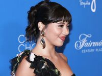 Shitsupact Shitsupact