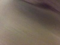 Brandi Bae la_munecabrandi, mssnewbooty