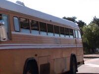 Gigi Rivera itsgigirivera