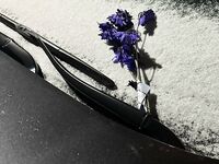 Lae Denmark Busty Christian from Florida, ldenmark44