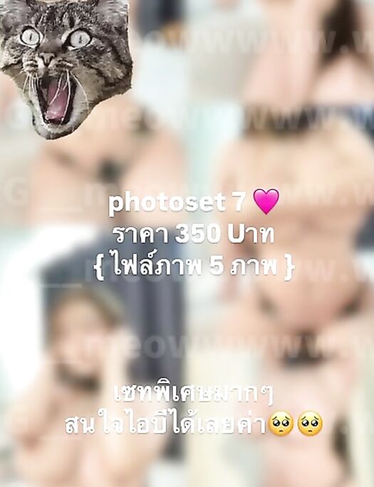 meowmint0 , Mo_meowwwww.w, __meowwwww.w, meowmint0