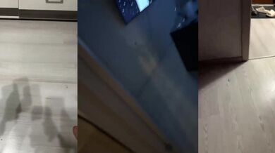 AdamsFamily69 - Porn Video [Bongacams]: ravishing princess, exquisite cleavage, voluptuous figure