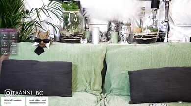 Taanni - Porn Video [Bongacams]: sexy cam replay, online footage, beauty