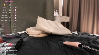 BadStar - Porn Video [Bongacams]: passive, chica, hot solo pleasure