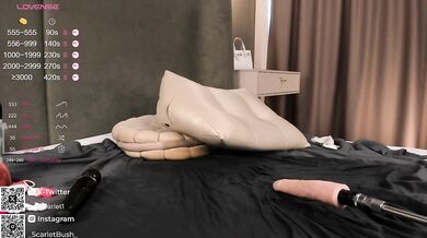 BadStar - Porn Video [Bongacams]: passive, chica, hot solo pleasure