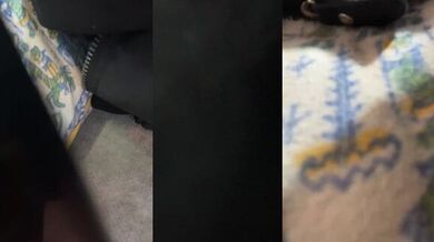 alicepractice5 - Porn Video [Cam4]: sizzling chemistry, female orgasm, vibrant content creator