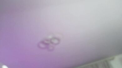 Eva--queen - Porn Video [Bongacams]: gorgeous waistline, shapely contours, cute girl on cam