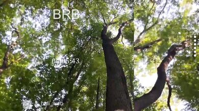 A-Huli - Porn Video [Bongacams]: casual flirty talk, perfectly shaped booty, luscious rear