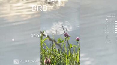 A-Huli - Porn Video [Bongacams]: casual flirty talk, perfectly shaped booty, luscious rear