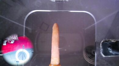 Kate_Moss - Porn Video [Cam4]: archived cam footage, seductive shivers, talented entertainer