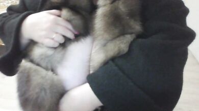 Natalya81 - Porn Video [Bongacams]: mouth, elegant allure, sultry moans