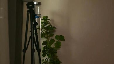 Mesmerizing goddess submits to your desires in a steamy cam show