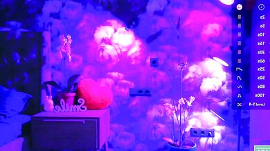 Angeellina - The ultimate cam girl - Irresistible Enchantment and Raging Ecstasy