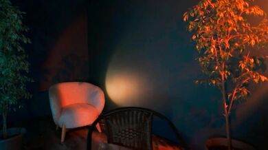 Watch the seductive and whispered Naked Model of Protea in naked video
