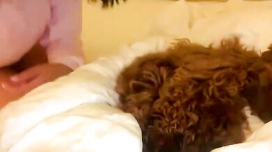 Sarah_heart_aus shows off her stunning body in stunning lingerie & boots