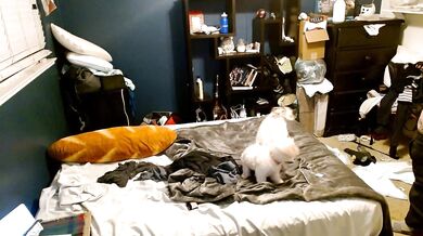 DaniDebauchery - Porn Video [Cam4]: mesmerizing queen, quivering passion, online documentation