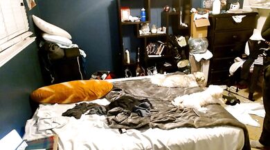 DaniDebauchery - Porn Video [Cam4]: mesmerizing queen, quivering passion, online documentation