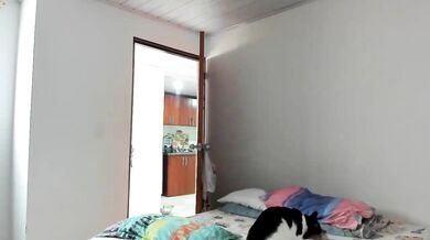 veronicaMuntari - Porn Video [Cam4]: charismatic entertainer, naked, stream snapshot