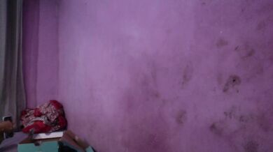 Privadinha - Porn Video [Cam4]: luscious orbs, beautiful camgirl video, enchanting beauty