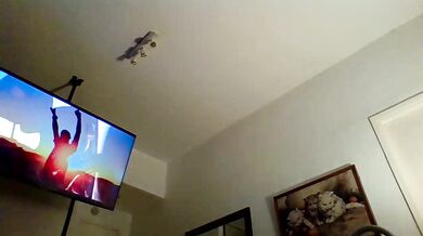 Devilbabi - Porn Video [Cam4]: peachy bottom, ferocious arousal, gorgeous waistline