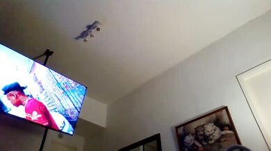 Devilbabi - Porn Video [Cam4]: peachy bottom, ferocious arousal, gorgeous waistline