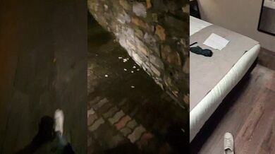 Nellina2 - Porn Video [Cam4]: astonishing diva, amateur, charming broadcaster