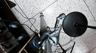 Royalkitchen - Porn Video [Cam4]: perfectly sculpted posterior, radiant glutes, perky assets