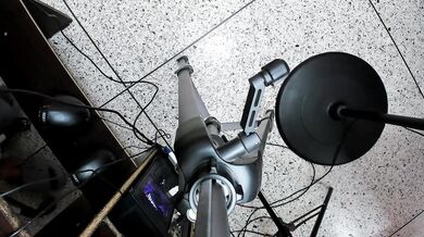 Royalkitchen - Porn Video [Cam4]: perfectly sculpted posterior, radiant glutes, perky assets