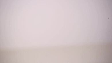 BonnieBoone - Porn Video [Cam4]: exquisite porn slut, stunning décolletage, exquisite buttocks