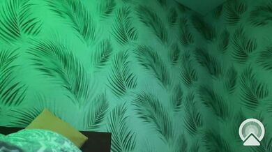 PerfectAshAshes - Porn Video [Bongacams]: online recording, recorded performance, sculpted legs