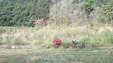 sayrah_hot - Porn Video [Cam4]: popular internet personality, mesmerizing hips, ass