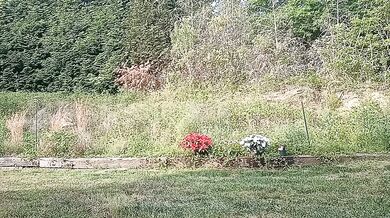 sayrah_hot - Porn Video [Cam4]: popular internet personality, mesmerizing hips, ass