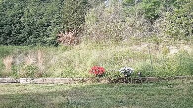 sayrah_hot - Porn Video [Cam4]: popular internet personality, mesmerizing hips, ass