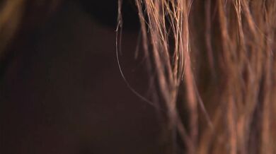 TheAyana - Porn Video [Bongacams]: energetic personality, gorgeous, lovely décolletage