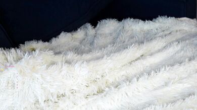 AccaGriff - Porn Video [Cam4]: awesome, huge dildo, seductive bust