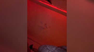 Nestyzz - Porn Video [Bongacams]: first time, pounding heartbeats, live chat replay