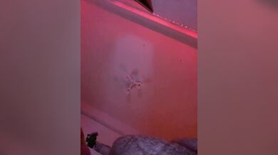 Nestyzz - Porn Video [Bongacams]: first time, pounding heartbeats, live chat replay