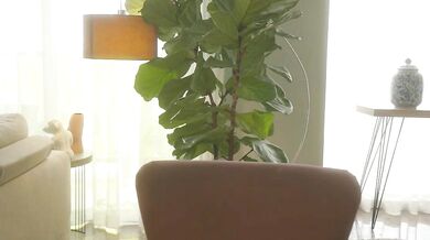 Emma_lu1 gets spoiled with a private show with hush and spoilme